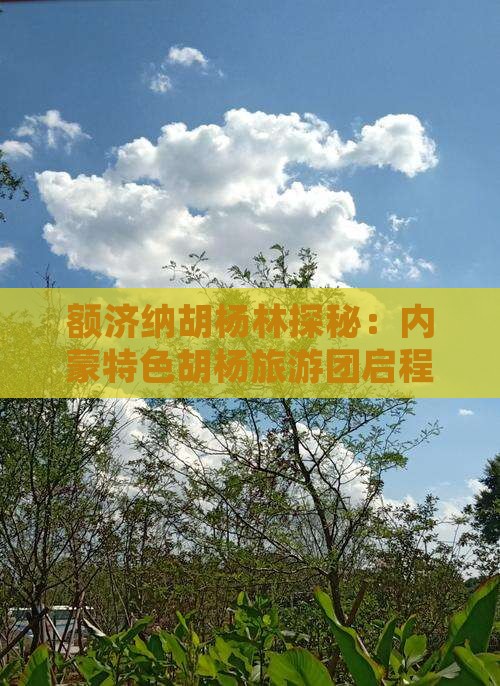 额济纳胡杨林探秘：内蒙特色胡杨旅游团启程