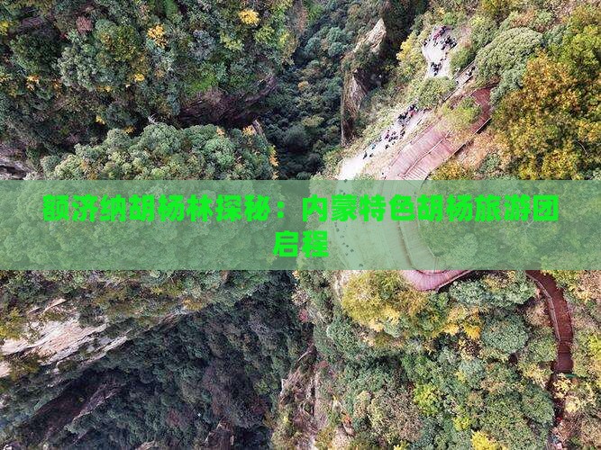 额济纳胡杨林探秘：内蒙特色胡杨旅游团启程
