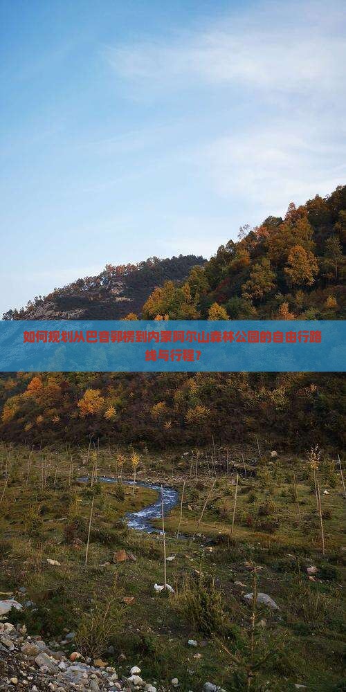 如何规划从巴音郭楞到内蒙阿尔山森林公园的自由行路线与行程？