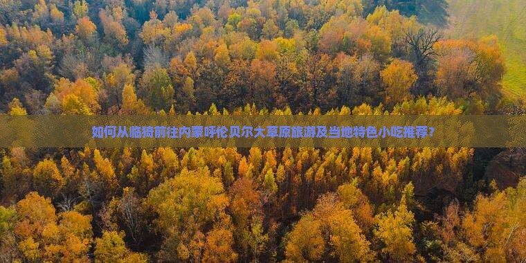 如何从临猗前往内蒙呼伦贝尔大草原旅游及当地特色小吃推荐？