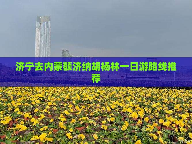 济宁去内蒙额济纳胡杨林一日游路线推荐
