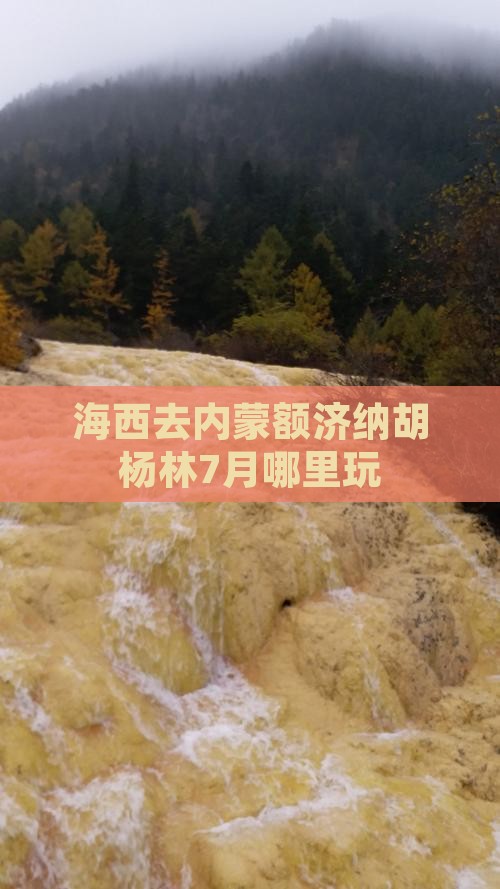 海西去内蒙额济纳胡杨林7月哪里玩