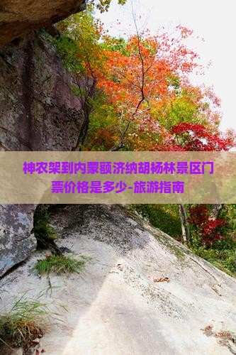 神农架到内蒙额济纳胡杨林景区门票价格是多少-旅游指南