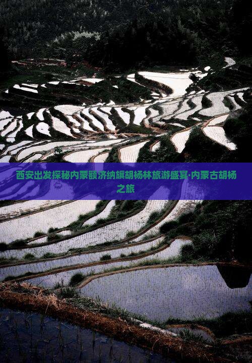 西安出发探秘内蒙额济纳旗胡杨林旅游盛宴·内蒙古胡杨之旅