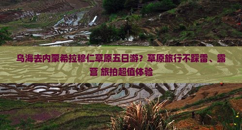 乌海去内蒙希拉穆仁草原五日游？草原旅行不踩雷、露营+旅拍超值体验