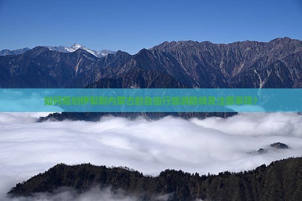 如何规划伊犁到内蒙古的自由行旅游路线及注意事项？