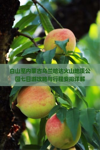 白山至内蒙古乌兰哈达火山地质公园七日游攻略与行程安排详解