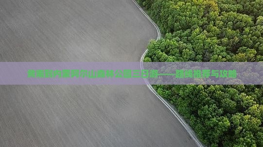 黄南到内蒙阿尔山森林公园三日游——路线推荐与攻略