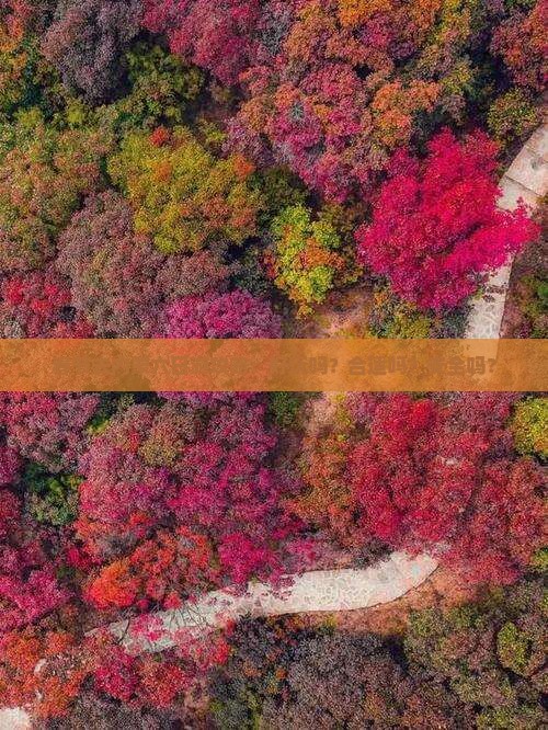 春节去内蒙六日游攻略：好玩吗？合适吗？安全吗？