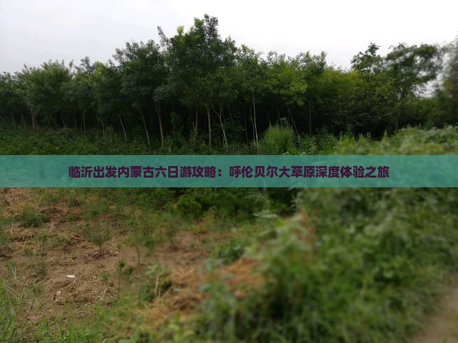 临沂出发内蒙古六日游攻略：呼伦贝尔大草原深度体验之旅