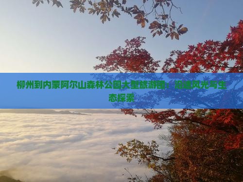 柳州到内蒙阿尔山森林公园大型旅游团：沿途风光与生态探索