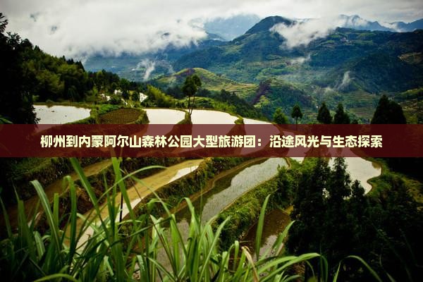 柳州到内蒙阿尔山森林公园大型旅游团：沿途风光与生态探索