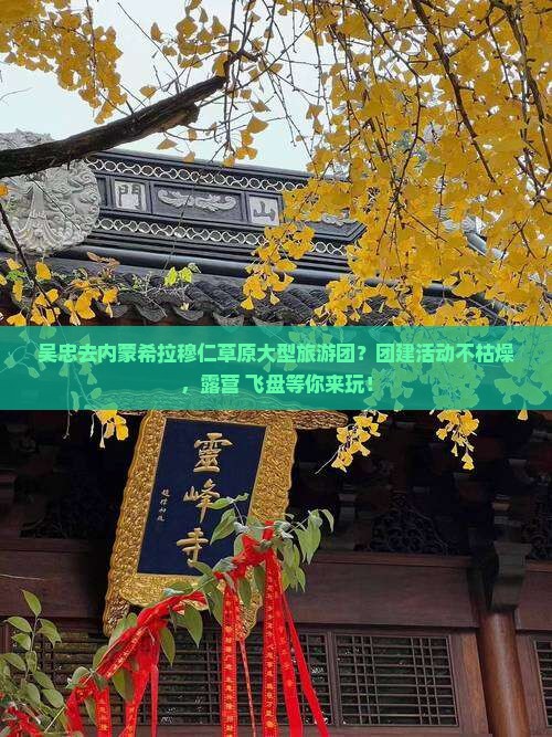 吴忠去内蒙希拉穆仁草原大型旅游团？团建活动不枯燥，露营+飞盘等你来玩！
