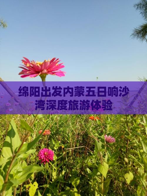 绵阳出发内蒙五日响沙湾深度旅游体验