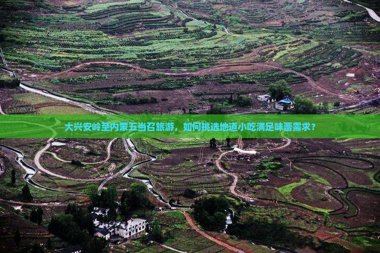 大兴安岭至内蒙五当召旅游，如何挑选地道小吃满足味蕾需求？