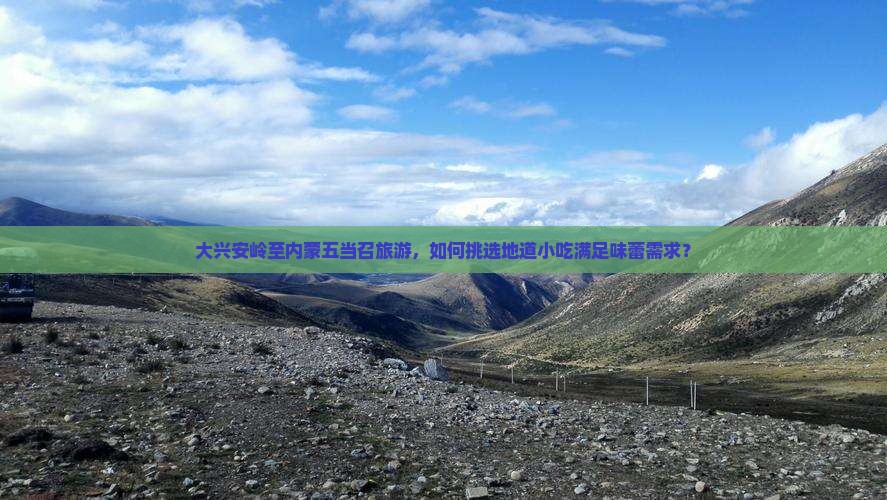 大兴安岭至内蒙五当召旅游，如何挑选地道小吃满足味蕾需求？