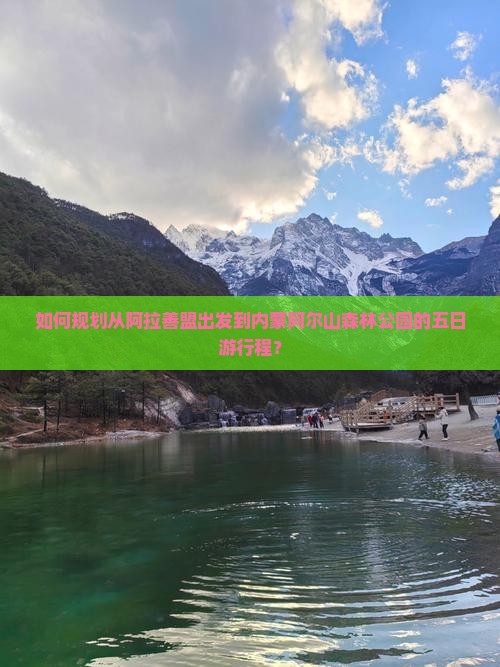 如何规划从阿拉善盟出发到内蒙阿尔山森林公园的五日游行程？