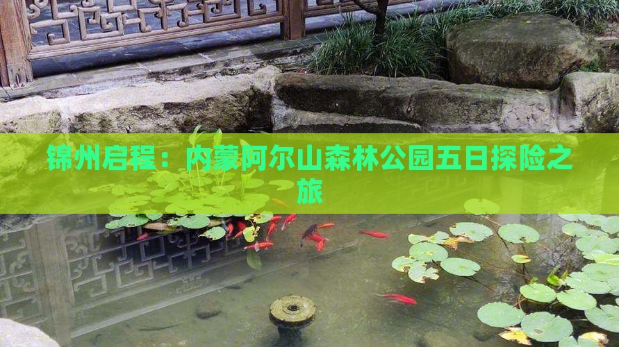 锦州启程：内蒙阿尔山森林公园五日探险之旅