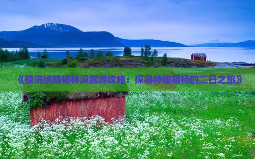 《额济纳胡杨林深度游攻略：探寻神秘胡杨的二日之旅》