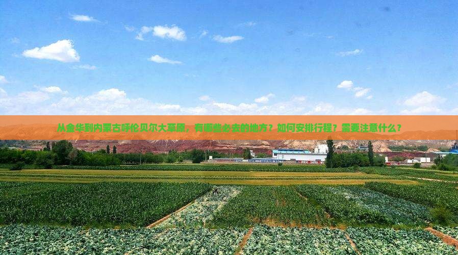从金华到内蒙古呼伦贝尔大草原，有哪些必去的地方？如何安排行程？需要注意什么？