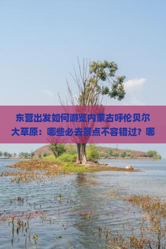 东营出发如何游览内蒙古呼伦贝尔大草原：哪些必去景点不容错过？哪些路线规划最合理？