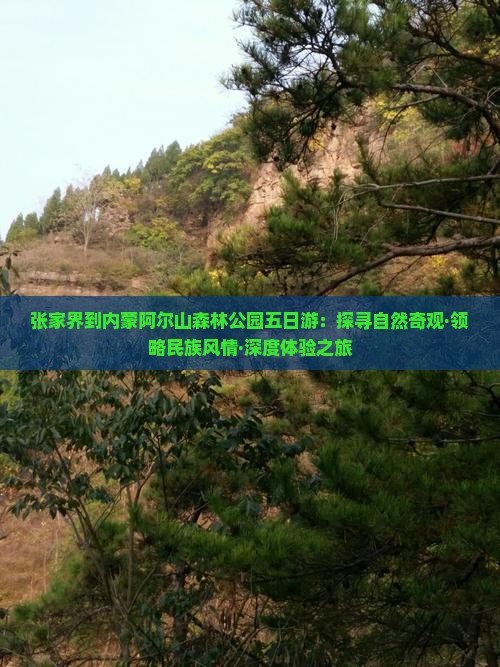 张家界到内蒙阿尔山森林公园五日游：探寻自然奇观·领略民族风情·深度体验之旅