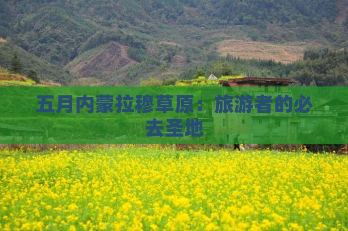 五月内蒙拉穆草原：旅游者的必去圣地