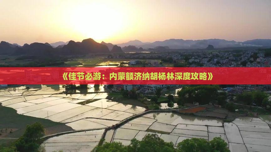 《佳节必游：内蒙额济纳胡杨林深度攻略》