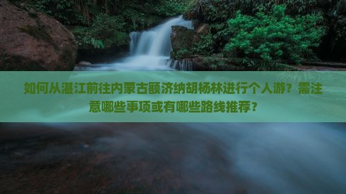 如何从湛江前往内蒙古额济纳胡杨林进行个人游？需注意哪些事项或有哪些路线推荐？