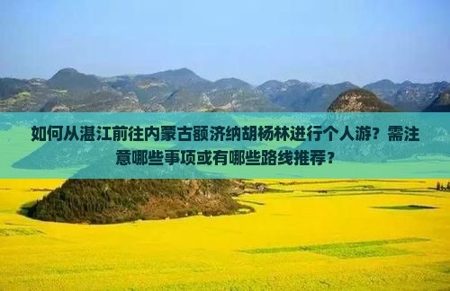 如何从湛江前往内蒙古额济纳胡杨林进行个人游？需注意哪些事项或有哪些路线推荐？