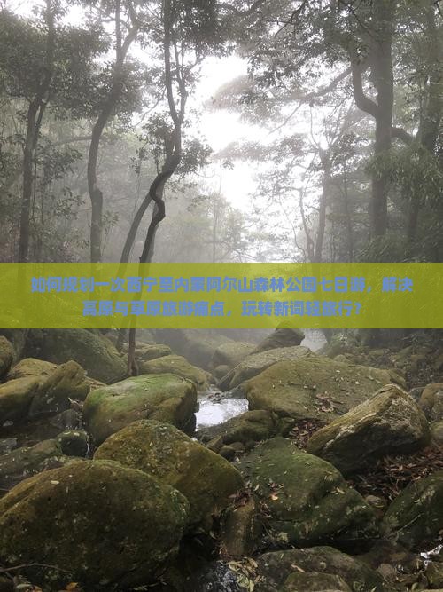 如何规划一次西宁至内蒙阿尔山森林公园七日游，解决高原与草原旅游痛点，玩转新词轻旅行？