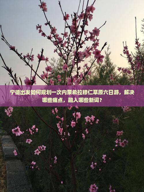 宁德出发如何规划一次内蒙希拉穆仁草原六日游，解决哪些痛点，融入哪些新词？
