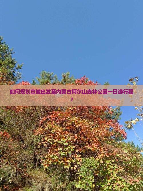 如何规划宣城出发至内蒙古阿尔山森林公园一日游行程？