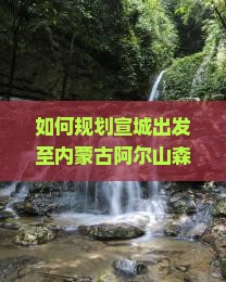 如何规划宣城出发至内蒙古阿尔山森林公园一日游行程？