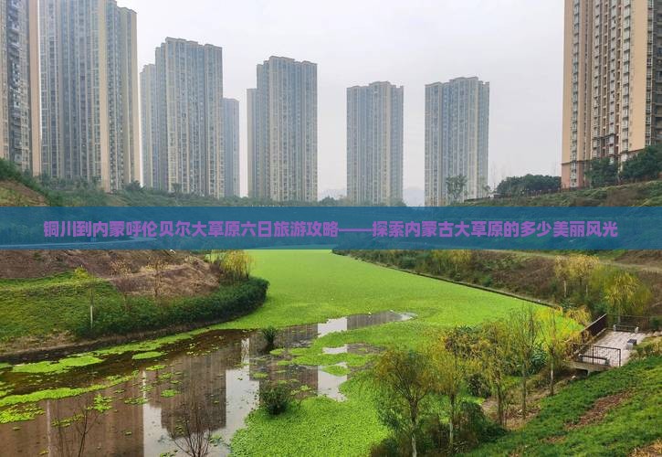铜川到内蒙呼伦贝尔大草原六日旅游攻略——探索内蒙古大草原的多少美丽风光