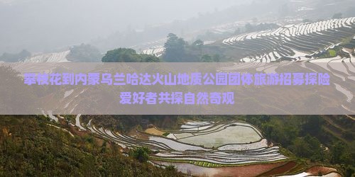 攀枝花到内蒙乌兰哈达火山地质公园团体旅游招募探险爱好者共探自然奇观