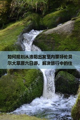 如何规划从洛阳出发至内蒙呼伦贝尔大草原六日游，解决旅行中的住宿和美食痛点？