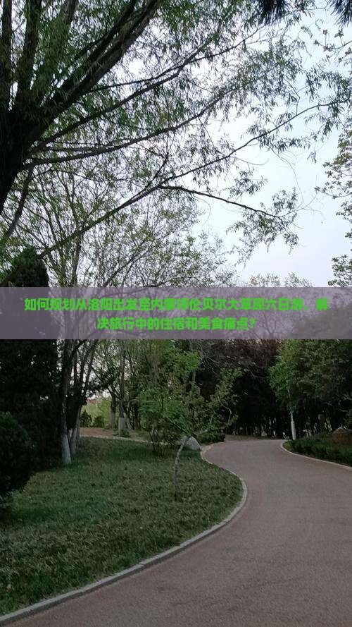 如何规划从洛阳出发至内蒙呼伦贝尔大草原六日游，解决旅行中的住宿和美食痛点？