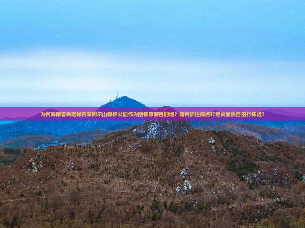 为何海南省会选择内蒙阿尔山森林公园作为团体旅游目的地？如何抓住痛点打造高品质自由行体验？