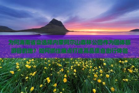 为何海南省会选择内蒙阿尔山森林公园作为团体旅游目的地？如何抓住痛点打造高品质自由行体验？