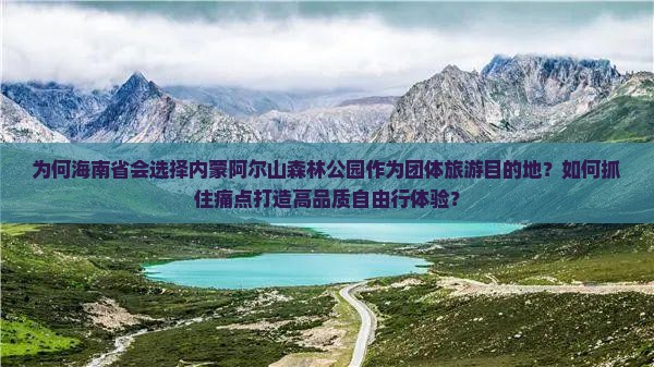 为何海南省会选择内蒙阿尔山森林公园作为团体旅游目的地？如何抓住痛点打造高品质自由行体验？