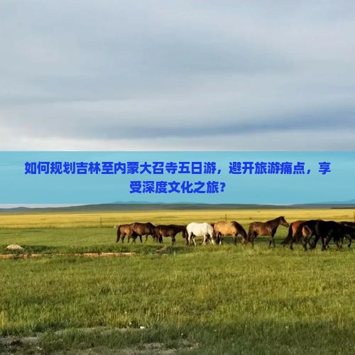如何规划吉林至内蒙大召寺五日游，避开旅游痛点，享受深度文化之旅？