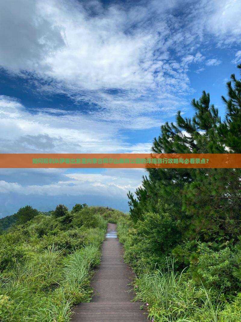 如何规划从伊春出发至内蒙古阿尔山森林公园的详细旅行攻略与必看景点？