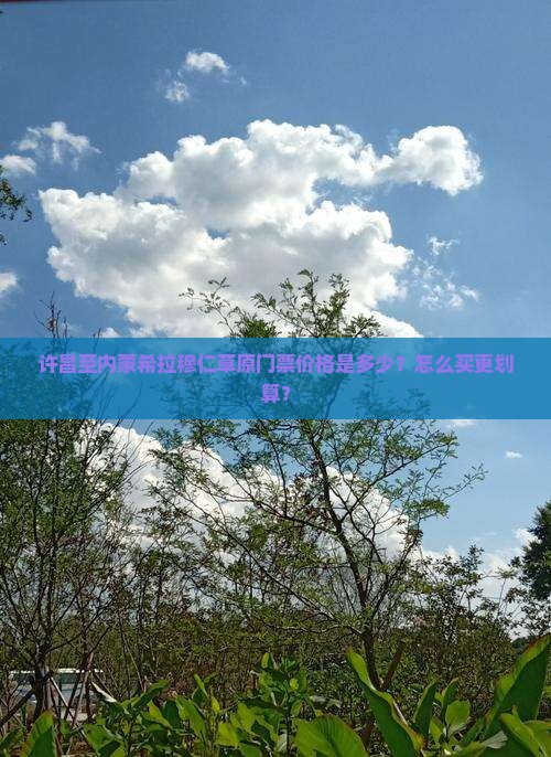 许昌至内蒙希拉穆仁草原门票价格是多少？怎么买更划算？