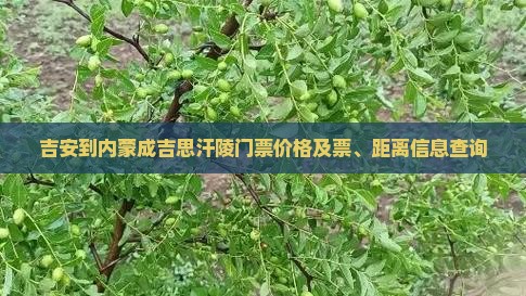 吉安到内蒙成吉思汗陵门票价格及票、距离信息查询