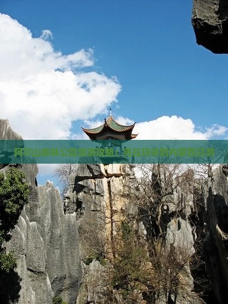 阿尔山森林公园旅游攻略：克拉玛依到内蒙四日游