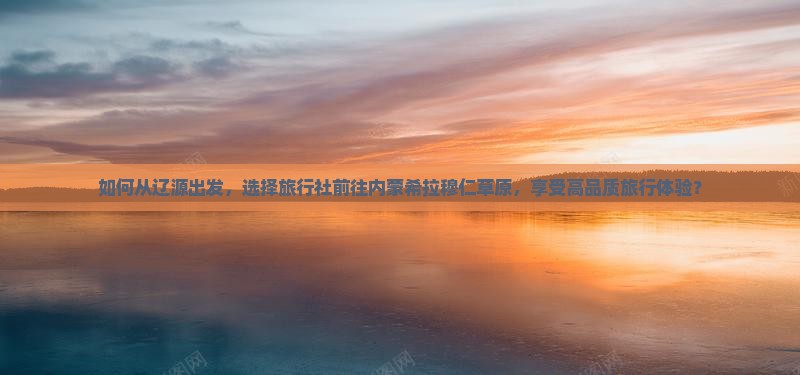 如何从辽源出发，选择旅行社前往内蒙希拉穆仁草原，享受高品质旅行体验？