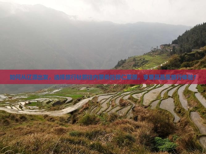 如何从辽源出发，选择旅行社前往内蒙希拉穆仁草原，享受高品质旅行体验？