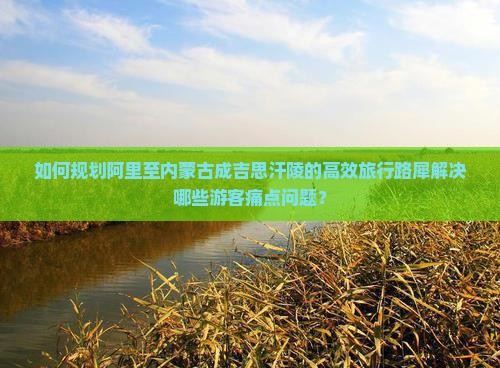 如何规划阿里至内蒙古成吉思汗陵的高效旅行路犀解决哪些游客痛点问题？