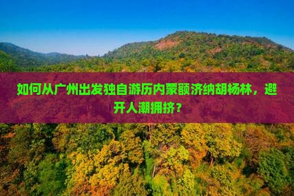 如何从广州出发独自游历内蒙额济纳胡杨林，避开人潮拥挤？